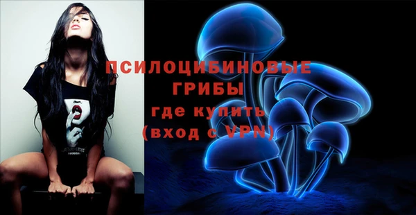 прущие крисы Верея